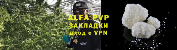стафф Володарск