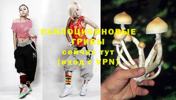 стафф Володарск
