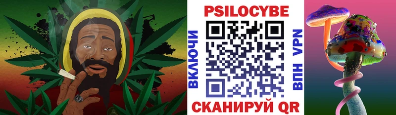 Псилоцибиновые грибы Cubensis  где можно купить наркотик  Долгопрудный 